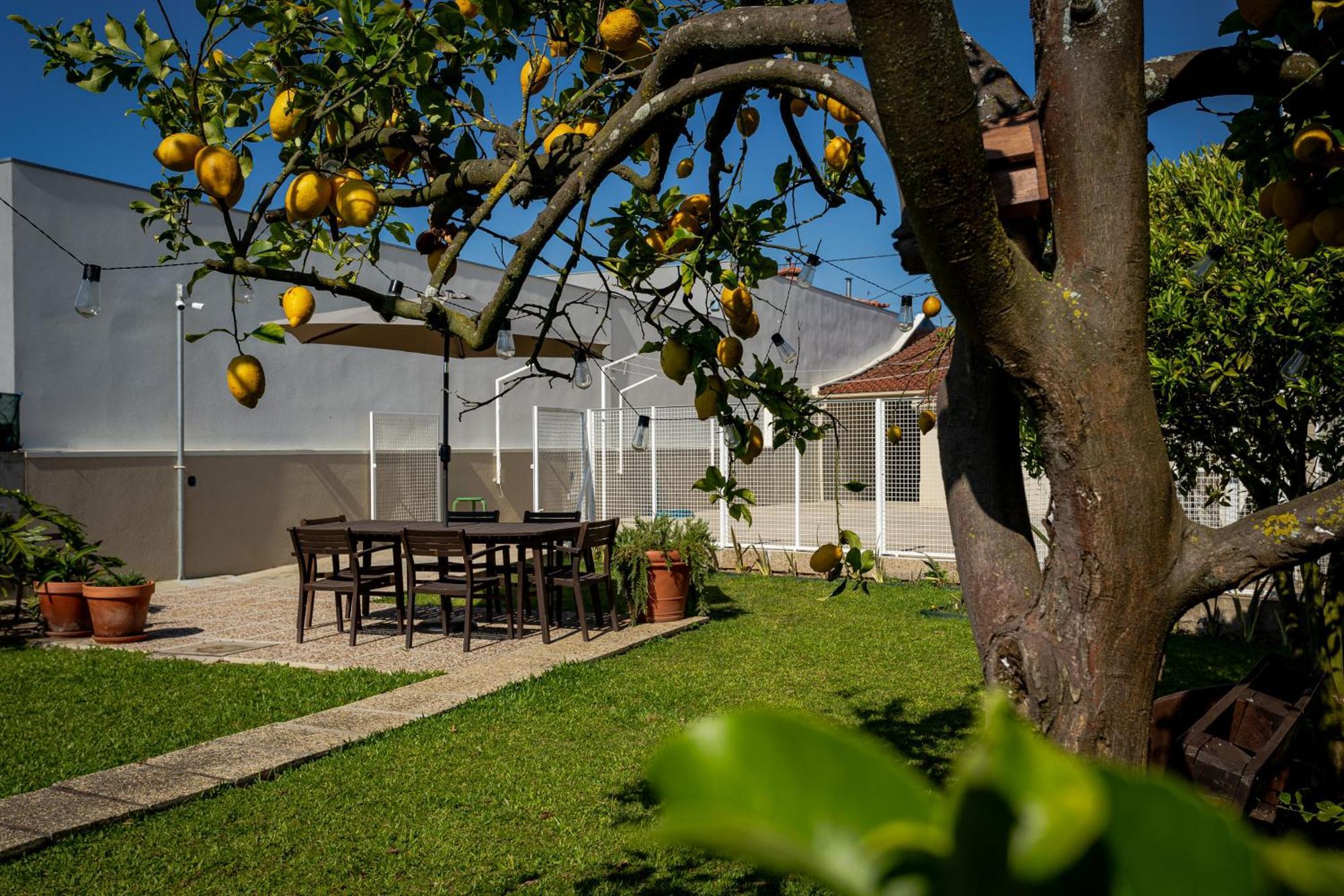 הוילה וילה דו קונדה 714 Mugnano House Aveleda מראה חיצוני תמונה